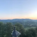 Costalisa *