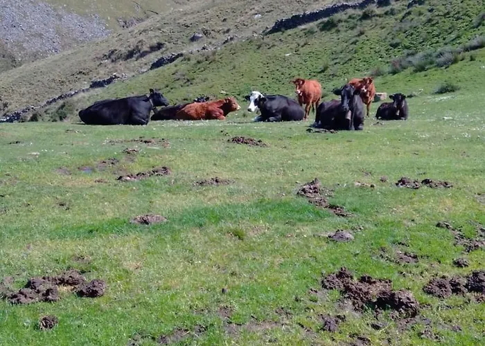 Сasa de vacaciones Costalisa *